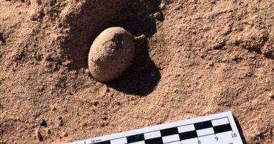 Hallan en sur de Argentina 160 huevos fósiles de aves prehistóricas