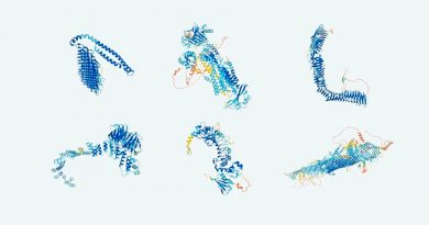Crean el mapa más completo de proteínas humanas: será público y gratuito
