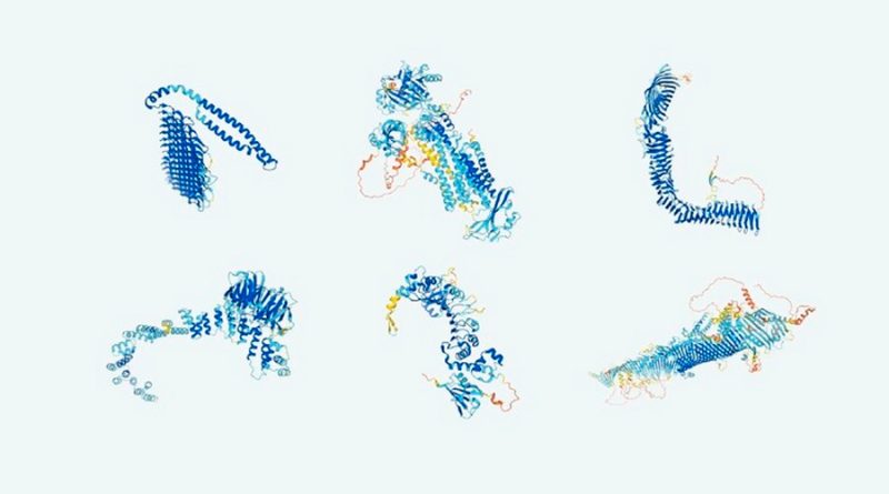 Crean El Mapa Más Completo De Proteínas Humanas Será Público Y Gratuito Invdes