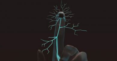 Una nueva tecnología restaura el sentido del tacto en los nervios dañados