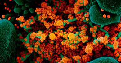 Detectan 1,000 veces más virus en los cuerpos de infectados con la variante Delta