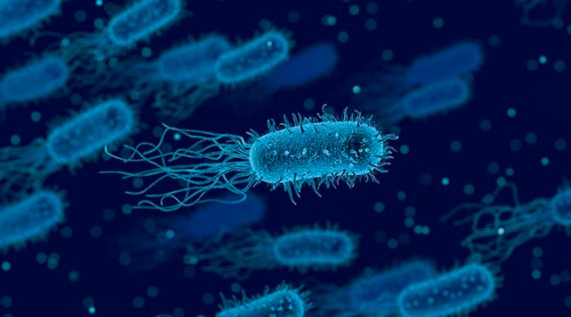 Reprograman bacterias sintéticas para ser resistentes a los virus