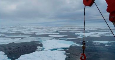 Científicos detectan contaminantes químicos "eternos" en zonas de deshielo del Ártico