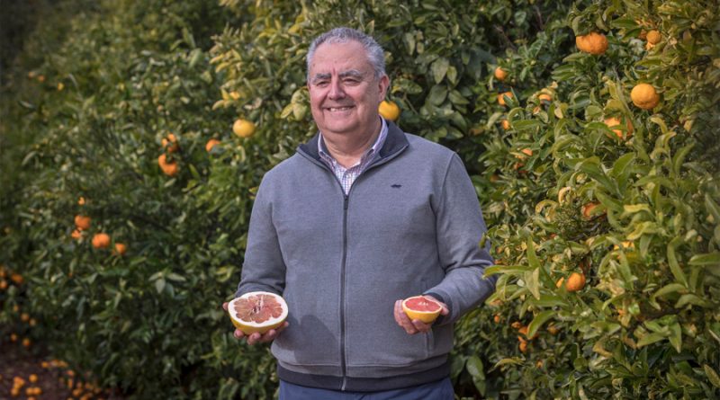La mutación que cambió la historia de las mandarinas