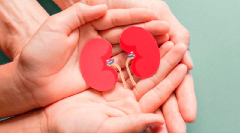 Más de17 mil mexicanos esperan trasplante de riñón por afectación renal crónica: Cenatra