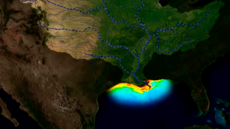 La zona muerta del Golfo de México se mantiene sobre más de 10.000 km2