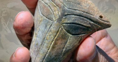 Hallan máscara “alienígena” prehistórica durante excavaciones en antiguo asentamiento