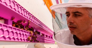 Beewise utiliza un brazo robótico para salvar a millones de colmenas de abejas
