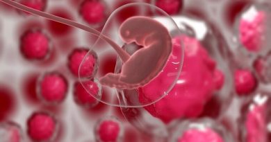 Embriones de ratón desarrollados 100% fuera del útero