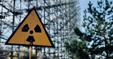 Una bacteria que ‘come’ materiales radioactivos puede ser clave en la limpieza de Chernobyl o Fukushima