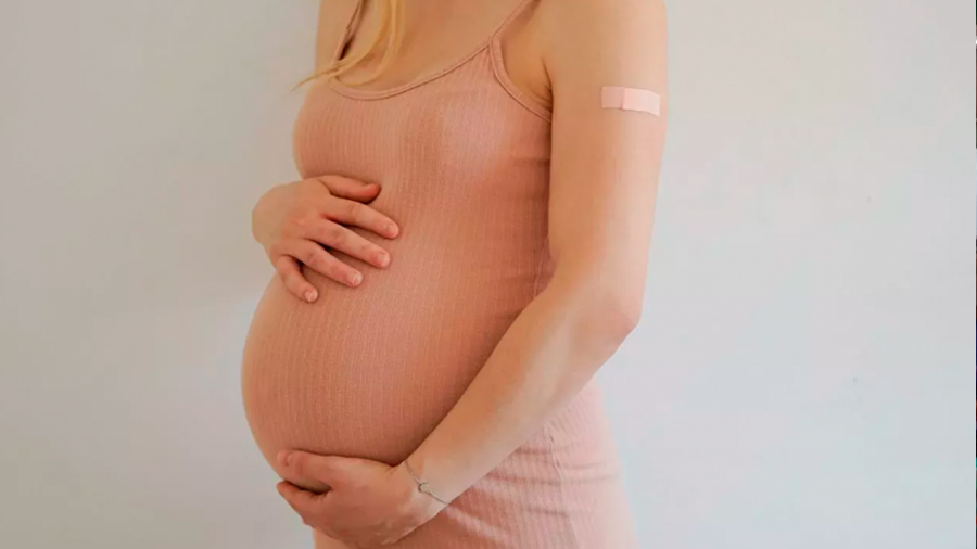 Los bebés reciben anticuerpos de la vacuna anticovid cuando están en el útero: estudio
