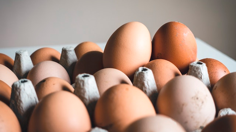 Revelan la ecuación del huevo por primera vez en la historia