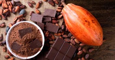 La ciencia encontró la clave para crear el “chocolate perfecto”