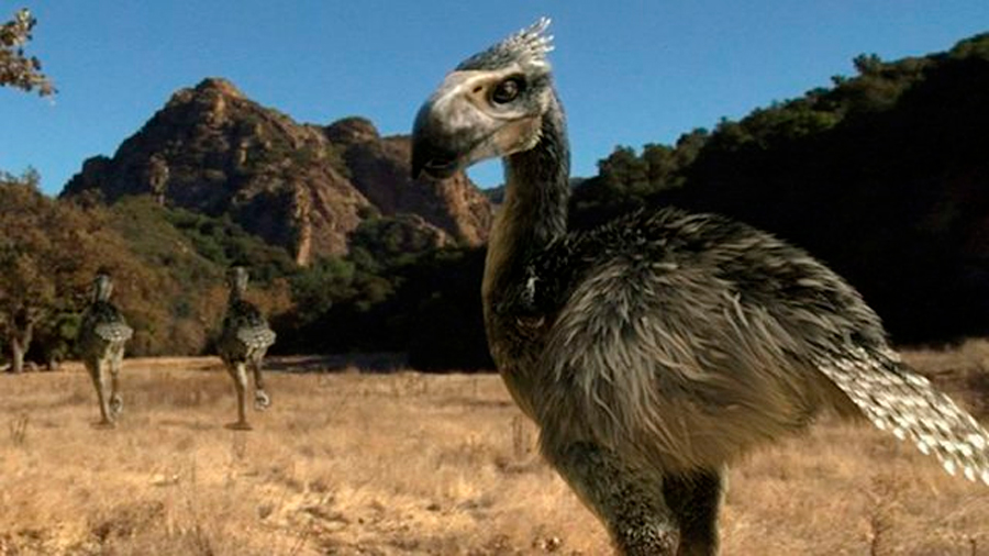 Descubren en Argentina aves carnívoras gigantes del Pleistoceno