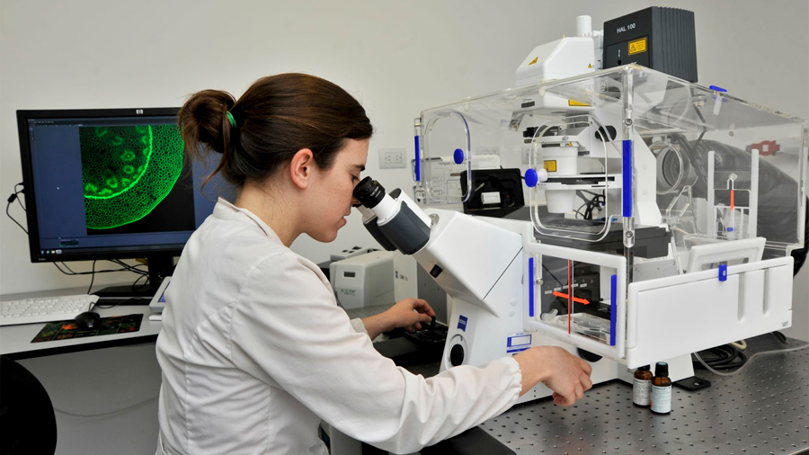 Científicos mexicanos hallan moléculas que podrían tratar cáncer y enfermedad de retina