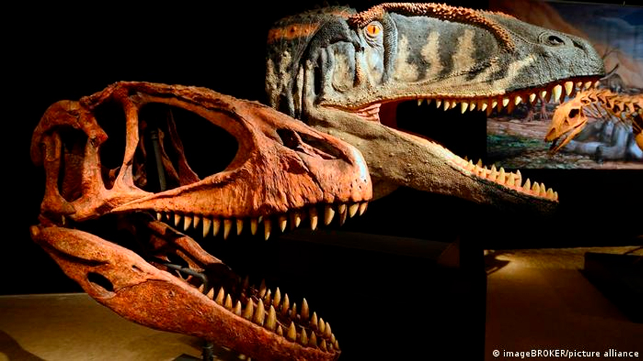 Nuevo dinosaurio carnívoro gigante era temido por los tiranosaurios más pequeños