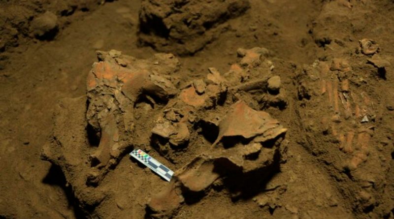 Descubrimiento de restos de 7000 años de antigüedad descifra el misterio de grupo humano desconocido
