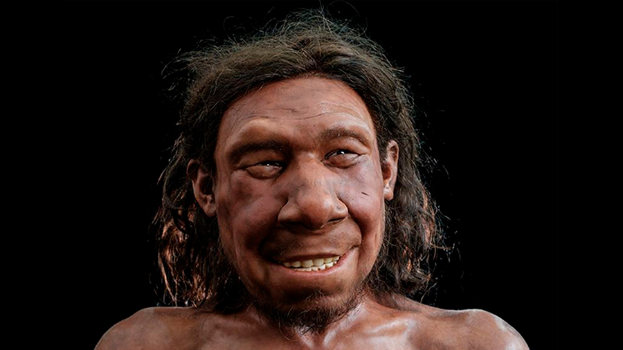 La ciencia reconstruye el rostro de un neandertal de 50.000 años encontrado en los Países Bajos