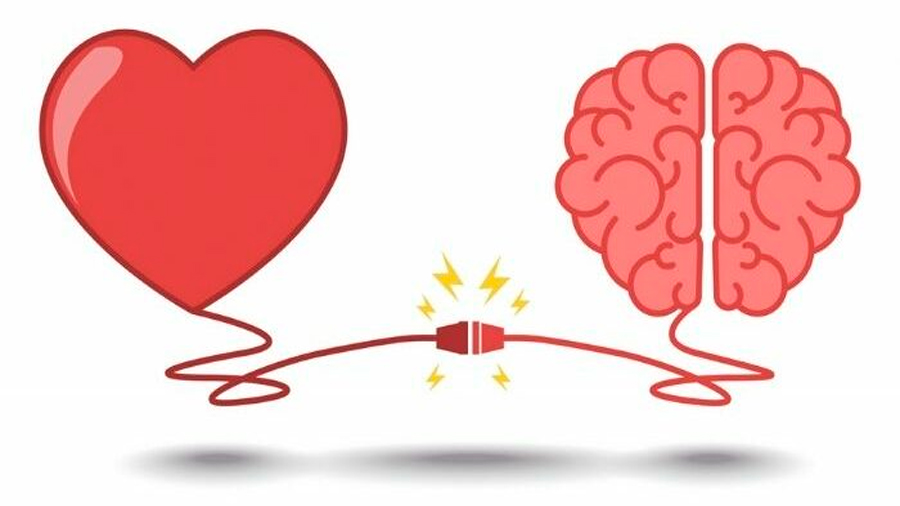 Tu cerebro y corazón se sincronizan cuando escuchas una anécdota de tu vida