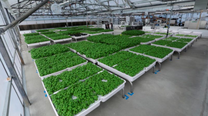 Fondo de tecnología verde de Bill Gates apuesta por robots agrícolas de Silicon Valley