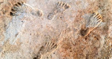 Huellas de Nuevo México prueban humanos en América hace 23,000 años