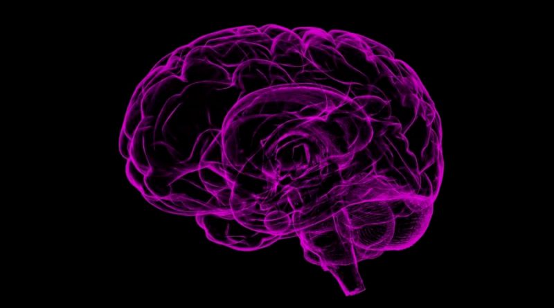 Descubren cómo se propaga el Alzhéimer en el cerebro