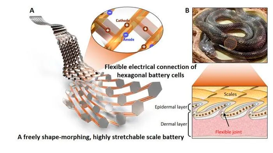 Inventan una batería flexible que se puede estirar como una escama de serpiente