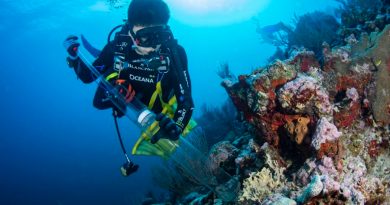 Científicos hallan corales enfermos y especies invasoras en el arrecife Bajos del Norte