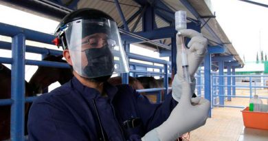 México inicia producción de suero equino para tratar COVID-19