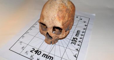Torre de cráneos Tenochtitlan en México: ¿De quiénes eran?