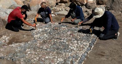 Descubren un antiguo mosaico hitita en turquía