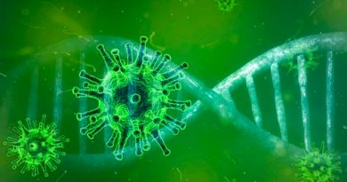 Una gran pandemia de coronavirus ocurrió en Asia hace 20.000 años, aseguró un estudio científico