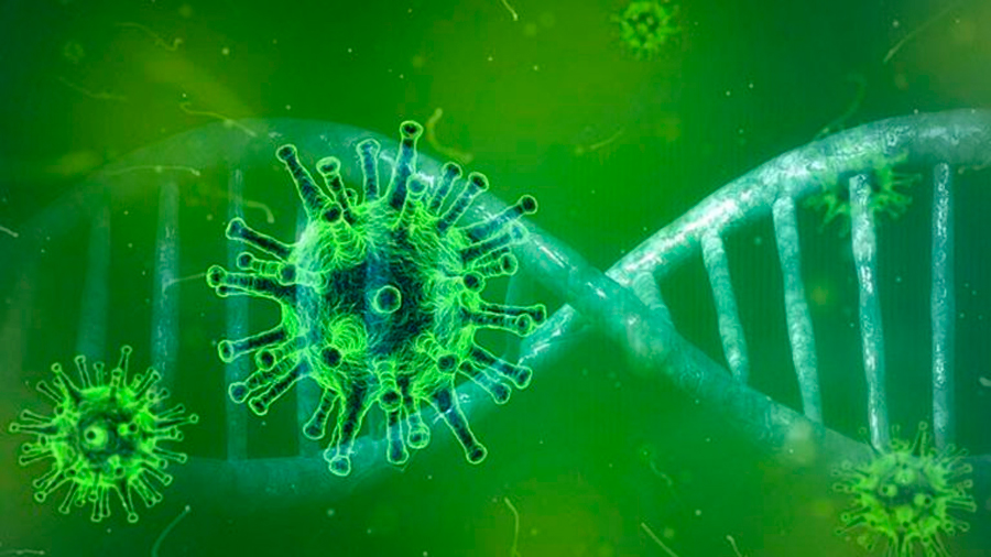 Una gran pandemia de coronavirus ocurrió en Asia hace 20.000 años, aseguró un estudio científico