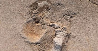 Huellas prehumanas de seis millones de años descubiertas en Creta