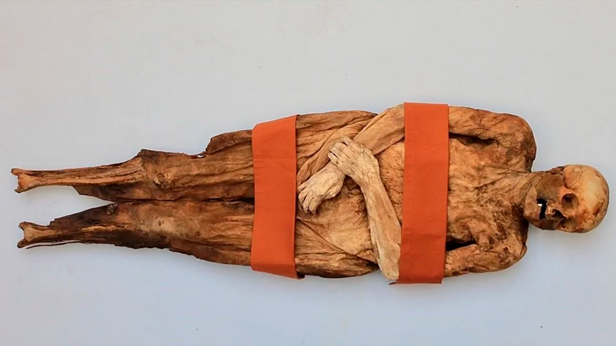 Descubren tres “familiares” vivos de una momia suiza del siglo XVIII