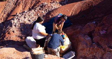 Recuperan un bloque de dos toneladas con huevos fósiles de dinosaurio del yacimiento de Loarre