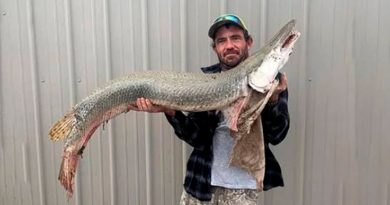 Pescador captura un pez cocodrilo considerado como un “fósil viviente”