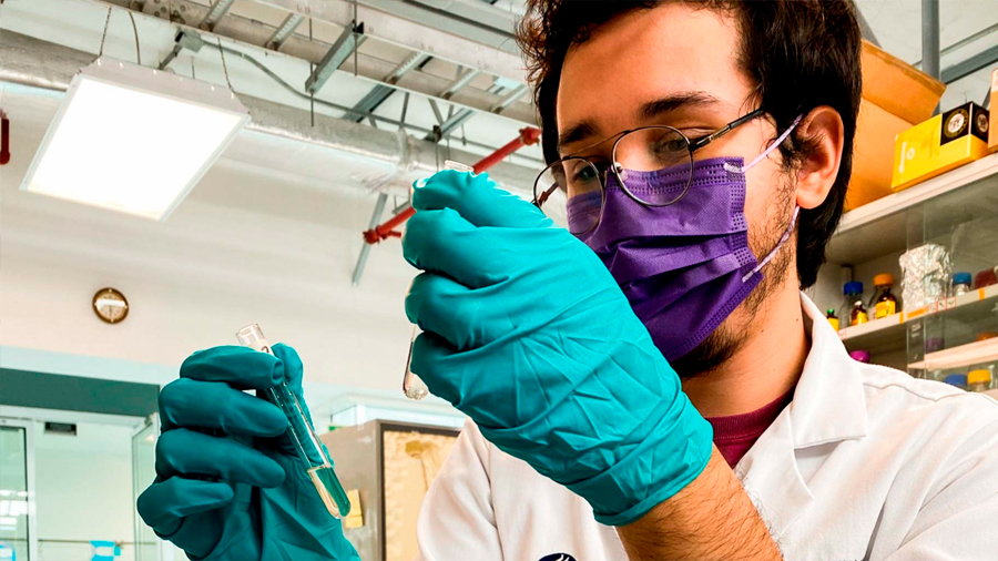 ¿Bacteria que come petróleo? Estudiante de universidad mexicana, premiado por desarrollarla