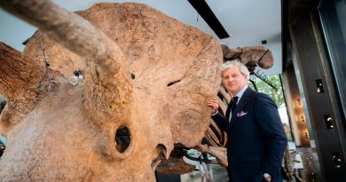 Subastan a ‘Big John’, el mayor esqueleto de tricerátops conocido
