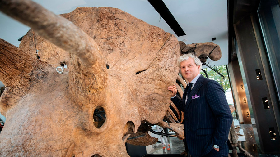 Subastan a ‘Big John’, el mayor esqueleto de tricerátops conocido