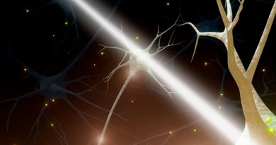 Las enfermedades neurodegenerativas impiden generar nuevas neuronas