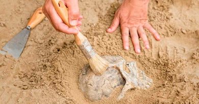 ¡Gran hallazgo! Descubren restos de 29 cuerpos enterrados hace mil años en Perú
