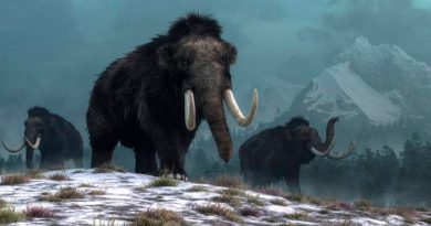 Los humanos no causaron la extinción del mamut lanudo, asegura una nueva investigación