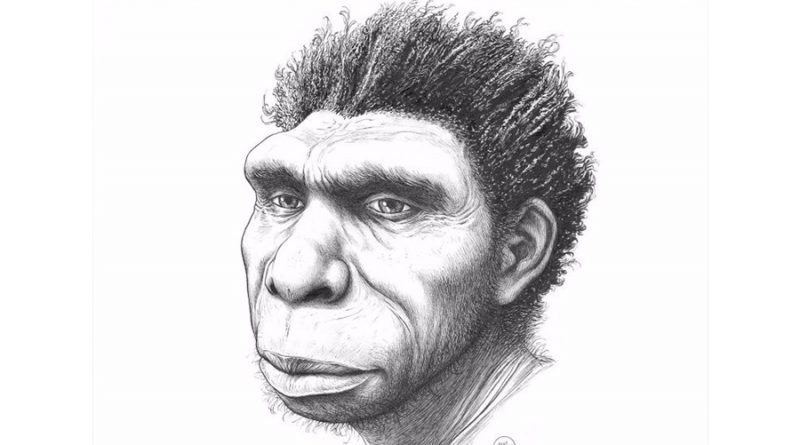 Conoce a Homo bodoensis, nuevo ancestro humano del Pleistoceno Medio