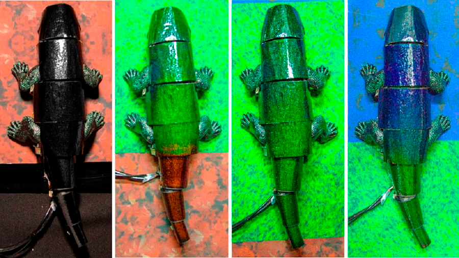 Un robot camaleón se camufla con el fondo en tiempo real