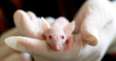 Estudio en ratones revela nueva vía para tratar el párkinson avanzado