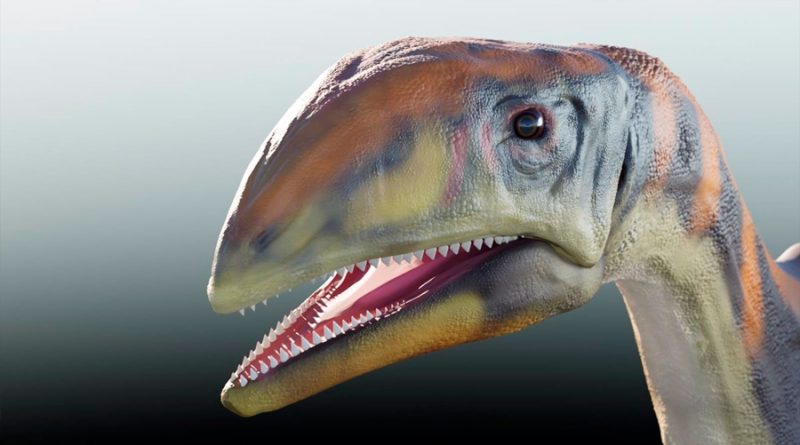 Primera nueva especie de dinosaurio identificada en Groenlandia