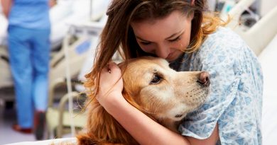 Terapia canina: así ayudan los perros a los humanos a recuperar la salud