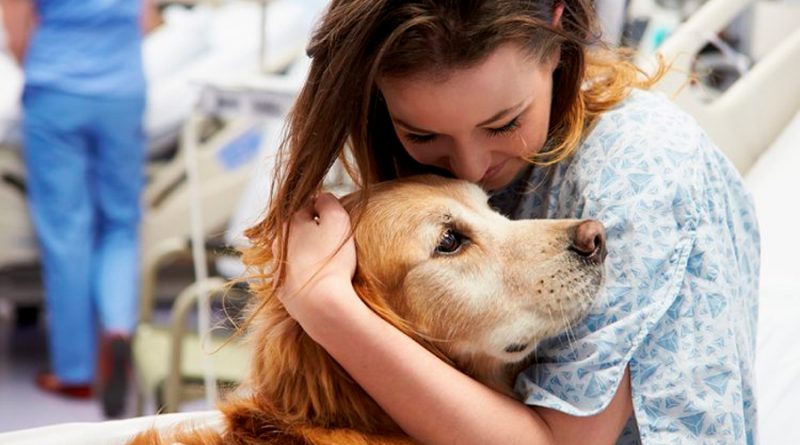 Terapia canina: así ayudan los perros a los humanos a recuperar la salud