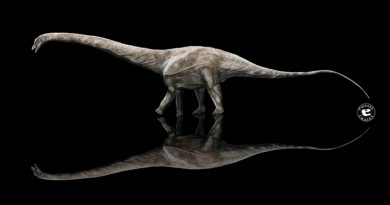 Científicos lograron identificar cuál podría ser el dinosaurio más largo que haya existido